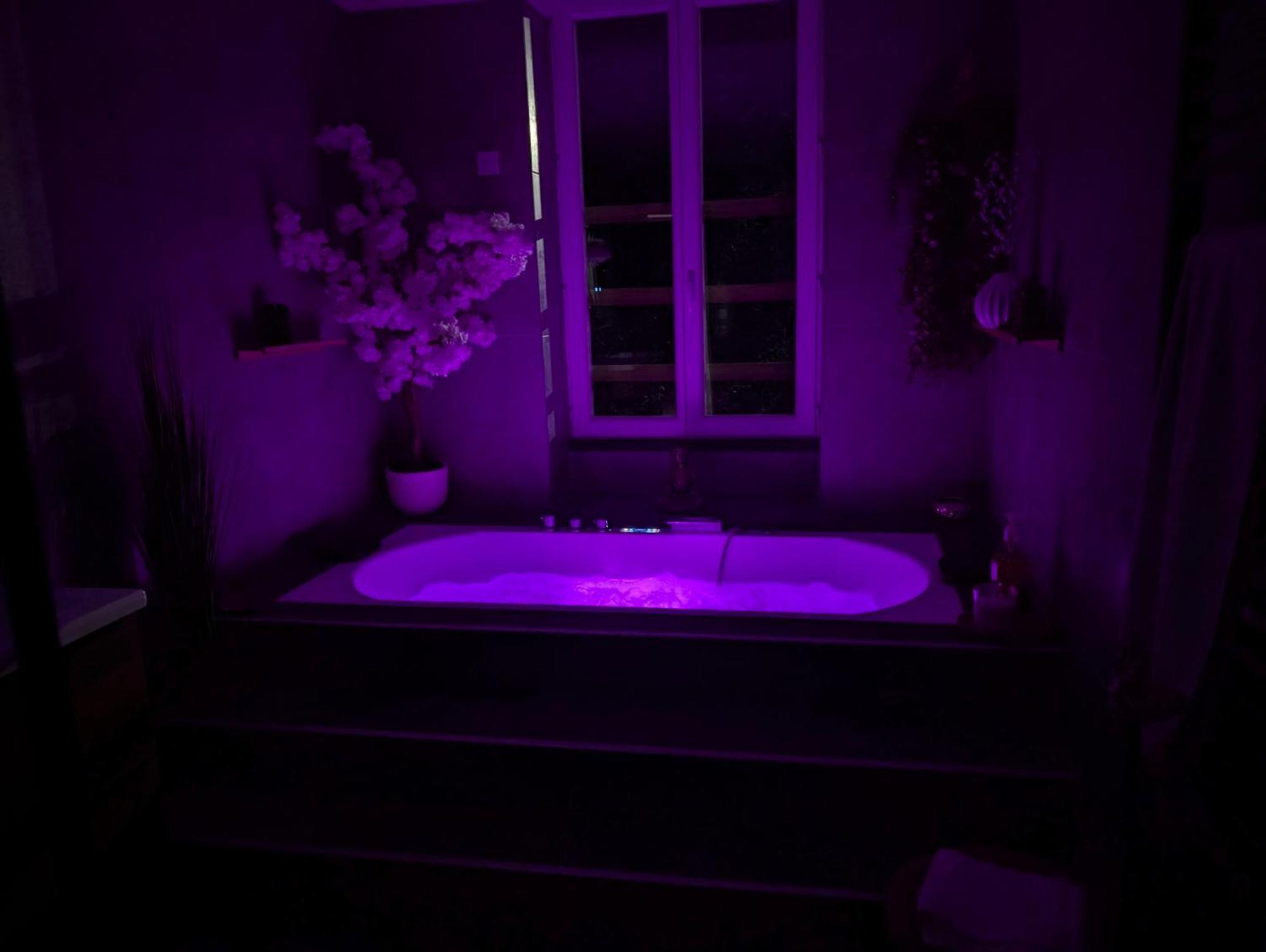 Le Spa - Villa Valmy - Hypercentre - Gare Sncf Монлюсон Экстерьер фото